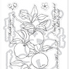 Hero Arts I Pick You Stamp & Cut Apple Branch (DC330) Hero Arts I Pick You Stamp & Cut Apple Branch (DC330)
