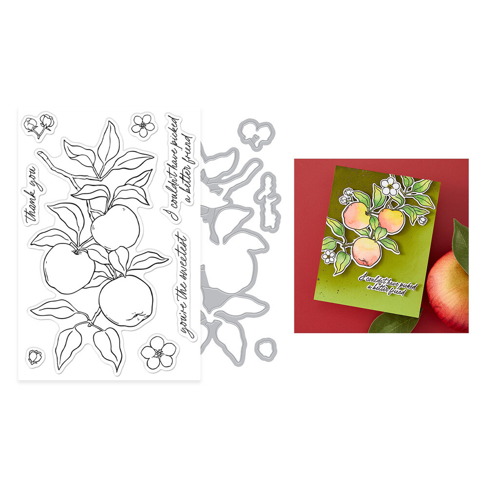 Hero Arts I Pick You Stamp & Cut Apple Branch (DC330) Hero Arts I Pick You Stamp & Cut Apple Branch (DC330)