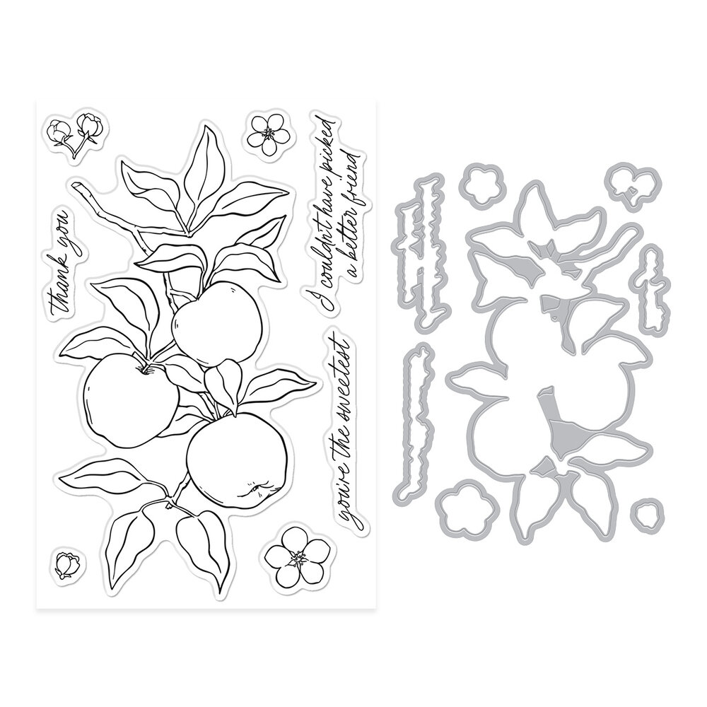Hero Arts I Pick You Stamp & Cut Apple Branch (DC330) Hero Arts I Pick You Stamp & Cut Apple Branch (DC330)