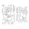 Hero Arts I Pick You Stamp & Cut Apple Branch (DC330) Hero Arts I Pick You Stamp & Cut Apple Branch (DC330)