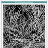Craft Consortium Journalling & Mixed Media Phase 3 Clear Photopolymer Stamps Pine Needles (CCESTMP014) Craft Consortium Journalling & Mixed Media Phase 3 Clear Photopolymer Stamps Pine Needles (CCESTMP014)