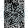 Craft Consortium Journalling & Mixed Media Phase 3 Clear Photopolymer Stamps Pine Needles (CCESTMP014) Craft Consortium Journalling & Mixed Media Phase 3 Clear Photopolymer Stamps Pine Needles (CCESTMP014)