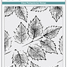 Craft Consortium Journalling & Mixed Media Phase 3 Clear Photopolymer Stamps Holly (CCESTMP013) Craft Consortium Journalling & Mixed Media Phase 3 Clear Photopolymer Stamps Holly (CCESTMP013)