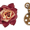 SL - Studio Light Roses & Gears Grunge Transparent Stickers on Roll (SL-GR-STIC55) SL - Studio Light Roses & Gears Grunge Transparent Stickers on Roll (SL-GR-STIC55)