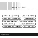 Simple and Basic All-in-one Plate Good Vibes Dies (SBD607)