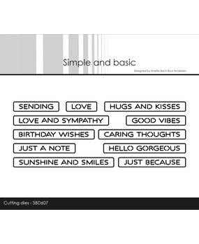 Simple and Basic All-in-one Plate Good Vibes Dies (SBD607)