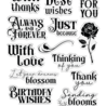 Crafter's Companion Thorn & Bloom Clear Acrylic Stamps Sending Blooms (SS-TB-CA-ST-SEBL) Crafter's Companion Thorn & Bloom Clear Acrylic Stamps Sending Blooms (SS-TB-CA-ST-SEBL)