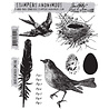 Stampers Anonymous Bird Feather Tim Holtz Cling Stamps (CMS180) Stampers Anonymous Bird Feather Tim Holtz Cling Stamps (CMS180)