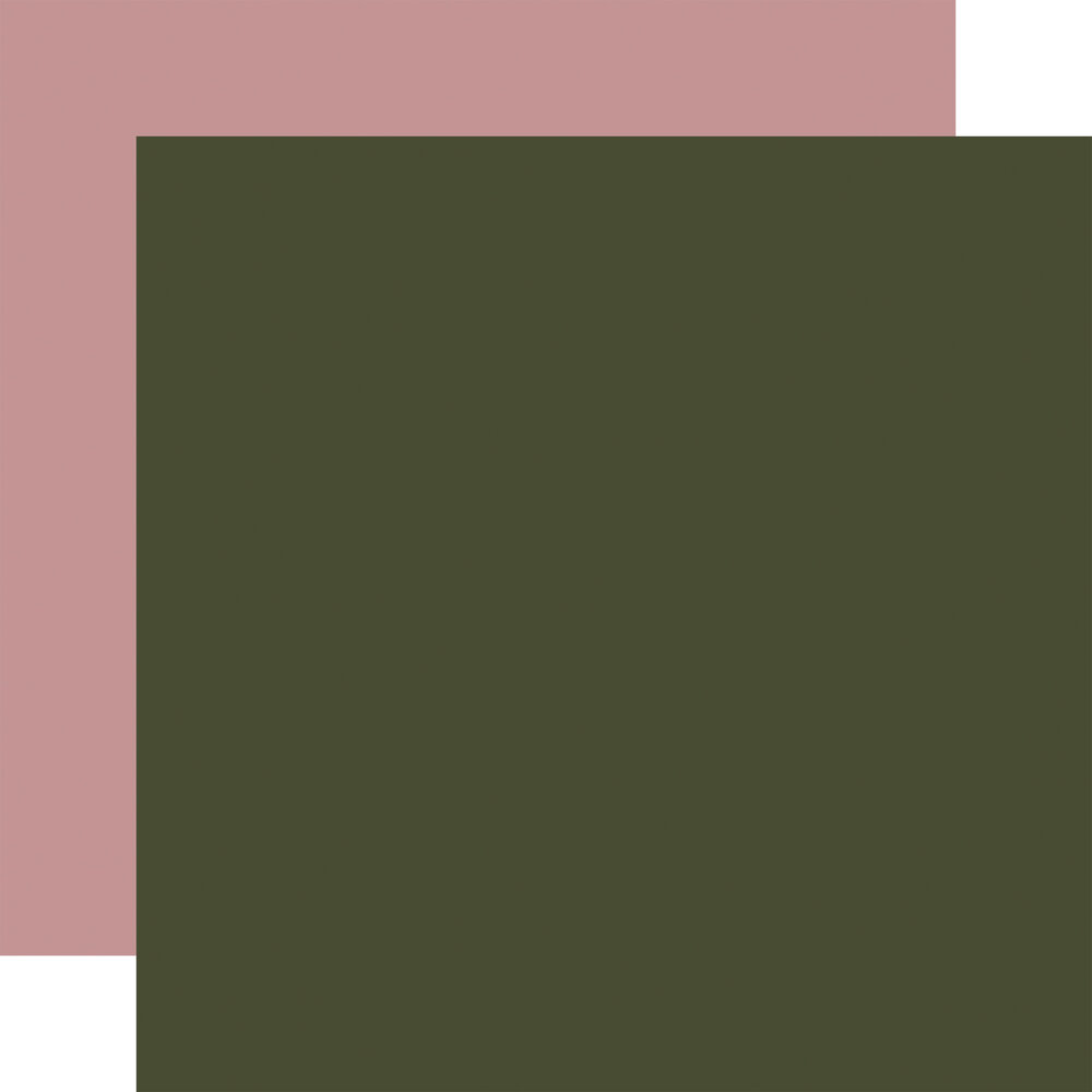 Carta Bella Pressed Floral 12x12 Inch Coordination Solids Paper Pack (CBPF473015) Carta Bella Pressed Floral 12x12 Inch Coordination Solids Paper Pack (CBPF473015)