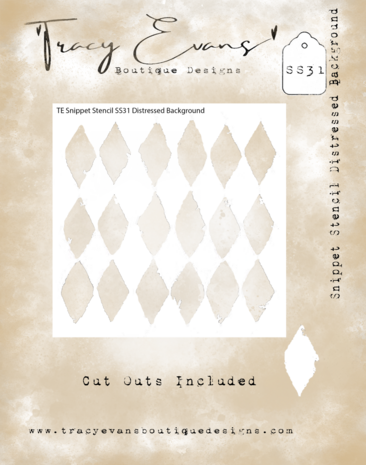 Tracy Evans Distressed Background 4x4 Inch Snippet Stencil (SS031)