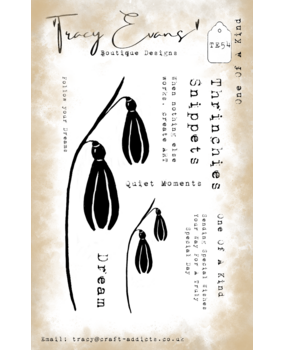 Tracy Evans One Of A Kind A7 Stamp (TE054) Tracy Evans One Of A Kind A7 Stamp (TE054)