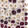 Craft O'Clock Plum & Caramel Extras Set Flowers & More (CC-C80-PC-11)