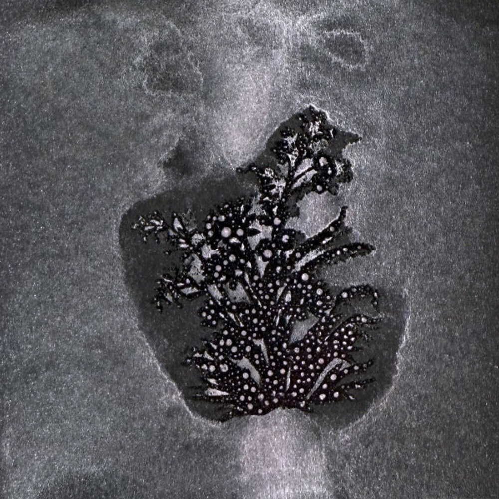 Lindy's Stamp Gang Lycan Lilac Glitz Spritz 2 oz (glitz-47)