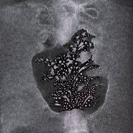 Lindy's Stamp Gang Lycan Lilac Glitz Spritz 2 oz (glitz-47)