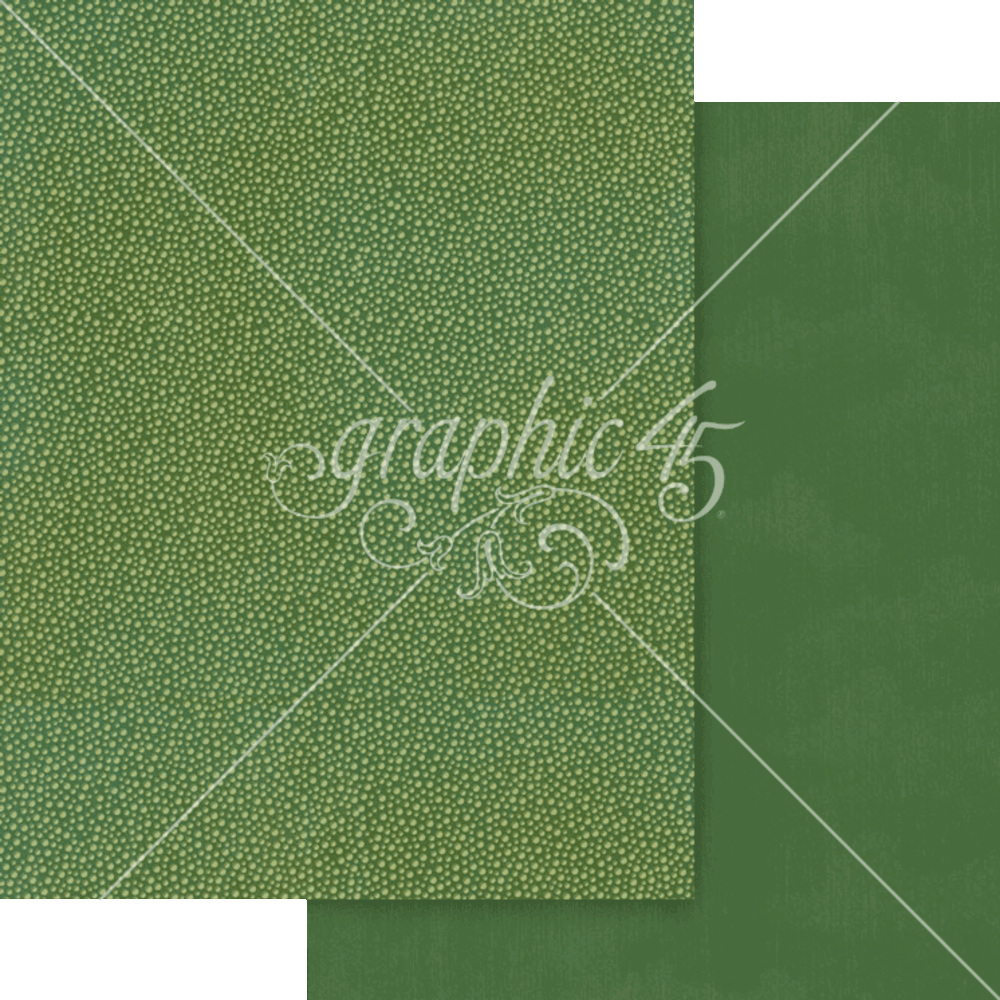 Graphic 45 Wonder of Oz 8.5x11 Inch Patterns & Solids Pack (4503122)