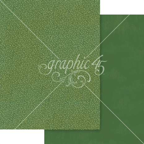 Graphic 45 Wonder of Oz 8.5x11 Inch Patterns & Solids Pack (4503122)