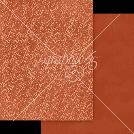 Graphic 45 Wonder of Oz 8.5x11 Inch Patterns & Solids Pack (4503122)