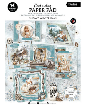Studio Light Snowy Winter Days Essentials Card Making Paper Pad (SL-ES-CMP23)