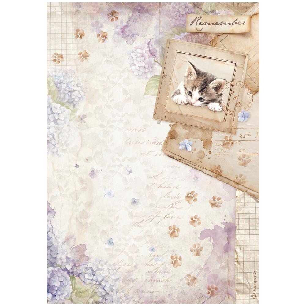 Stamperia Quiet Days A4 Rice Paper Kitten (6pcs) (DFSA41072)