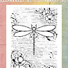 Studio Light Dragonfly Dreams Clear Stamp Dragonfly Background (HE-DD-STAMP907)