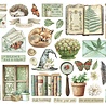 Stamperia Herbarium Silvae Die Cuts Assorted (40pcs) (DFLDC123) Stamperia Herbarium Silvae Die Cuts Assorted (40pcs) (DFLDC123)