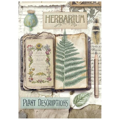 Stamperia Herbarium Silvae A6 Mini Rice Paper (8pcs) (DFSA6X02) Stamperia Herbarium Silvae A6 Mini Rice Paper (8pcs) (DFSA6X02)