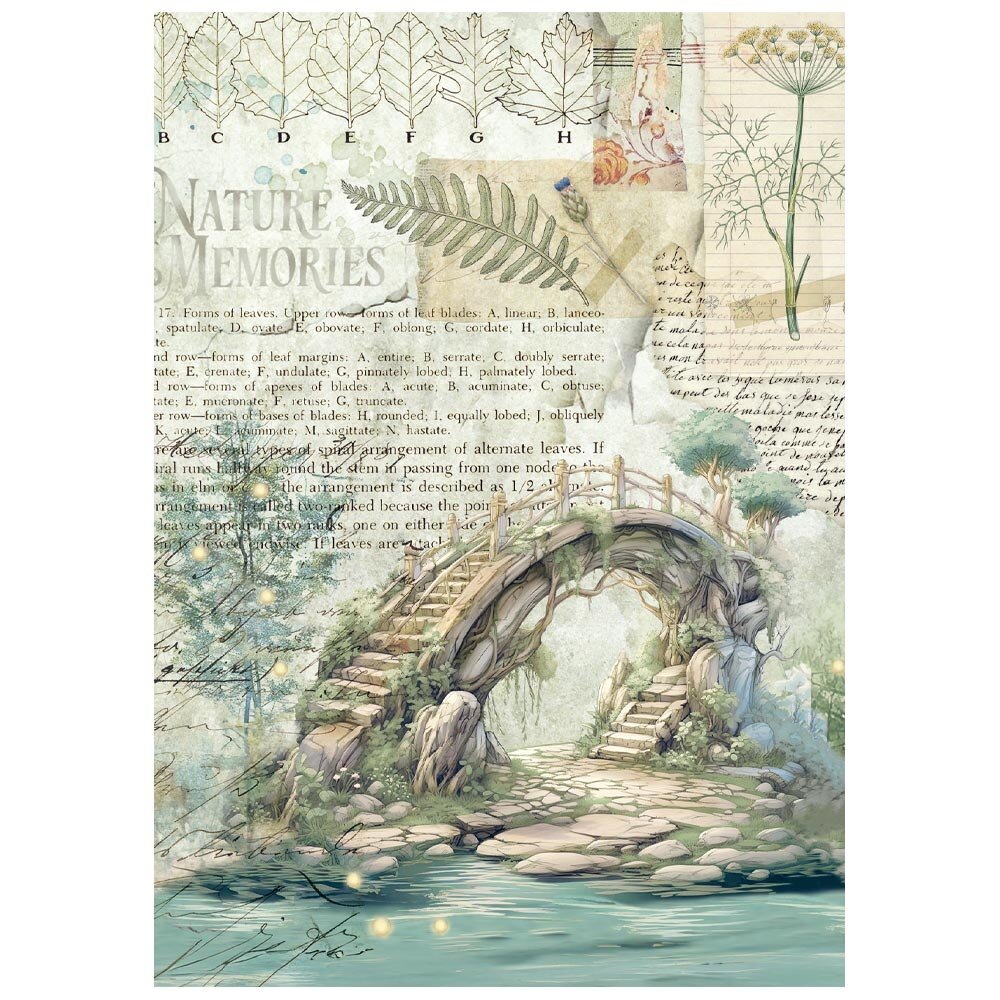 Stamperia Herbarium Silvae A6 Mini Rice Paper (8pcs) (DFSA6X02) Stamperia Herbarium Silvae A6 Mini Rice Paper (8pcs) (DFSA6X02)