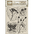 Herbarium Silvae Clear Stamp Botanic (WTK231) Herbarium Silvae Clear Stamp Botanic (WTK231)