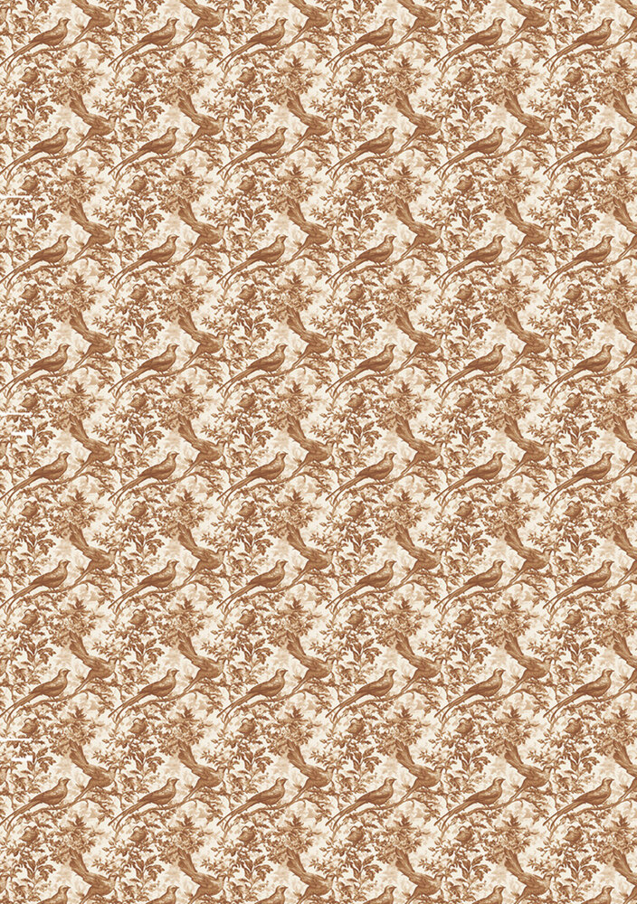 Ciao Bella Book Lovers A5 Rice Paper Mixed (8pcs) (CBRS026) Ciao Bella Book Lovers A5 Rice Paper Mixed (8pcs) (CBRS026)