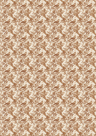 Ciao Bella Book Lovers A5 Rice Paper Mixed (8pcs) (CBRS026) Ciao Bella Book Lovers A5 Rice Paper Mixed (8pcs) (CBRS026)