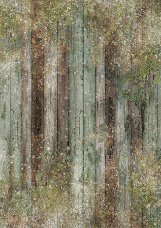 Ciao Bella Fairy Whispers A5 Rice Paper Mixed (8pcs) (CBRS030)