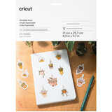 Cricut Printable Vinyl A4 Transparent (12pcs) (2011884)
