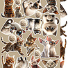 Craft O'Clock Creative Extras Set 03 Cats (CC-CEX-03) Craft O'Clock Creative Extras Set 03 Cats (CC-CEX-03)