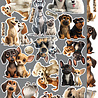 Craft O'Clock Creative Extras Set 04 Dogs (CC-CEX-04) Craft O'Clock Creative Extras Set 04 Dogs (CC-CEX-04)