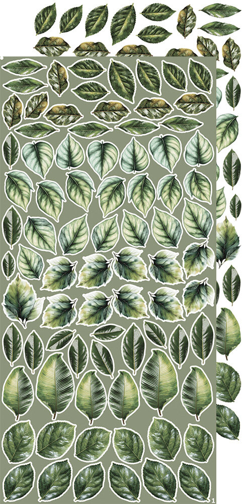 Craft O'Clock Creative Extras Set 07 Leaves 1 (CC-CEX-07) Craft O'Clock Creative Extras Set 07 Leaves 1 (CC-CEX-07)