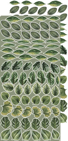 Craft O'Clock Creative Extras Set 07 Leaves 1 (CC-CEX-07) Craft O'Clock Creative Extras Set 07 Leaves 1 (CC-CEX-07)