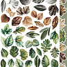 Craft O'Clock Creative Extras Set 07 Leaves 1 (CC-CEX-07) Craft O'Clock Creative Extras Set 07 Leaves 1 (CC-CEX-07)