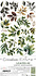 Creative Extras Set 08 Leaves 2 (CC-CEX-08) Creative Extras Set 08 Leaves 2 (CC-CEX-08)
