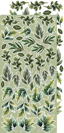 Craft O'Clock Creative Extras Set 08 Leaves 2 (CC-CEX-08) Craft O'Clock Creative Extras Set 08 Leaves 2 (CC-CEX-08)