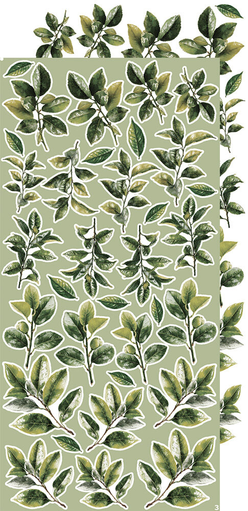 Craft O'Clock Creative Extras Set 08 Leaves 2 (CC-CEX-08) Craft O'Clock Creative Extras Set 08 Leaves 2 (CC-CEX-08)