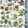 Craft O'Clock Creative Extras Set Mix 04 All Leaves (CC-CEX-MIX-04) Craft O'Clock Creative Extras Set Mix 04 All Leaves (CC-CEX-MIX-04)