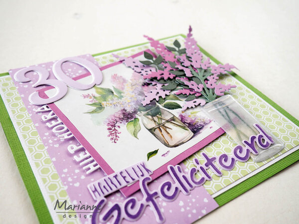 Marianne Design Craftables Hartelijk Gefeliciteerd (CR1319) Marianne Design Craftables Hartelijk Gefeliciteerd (CR1319)