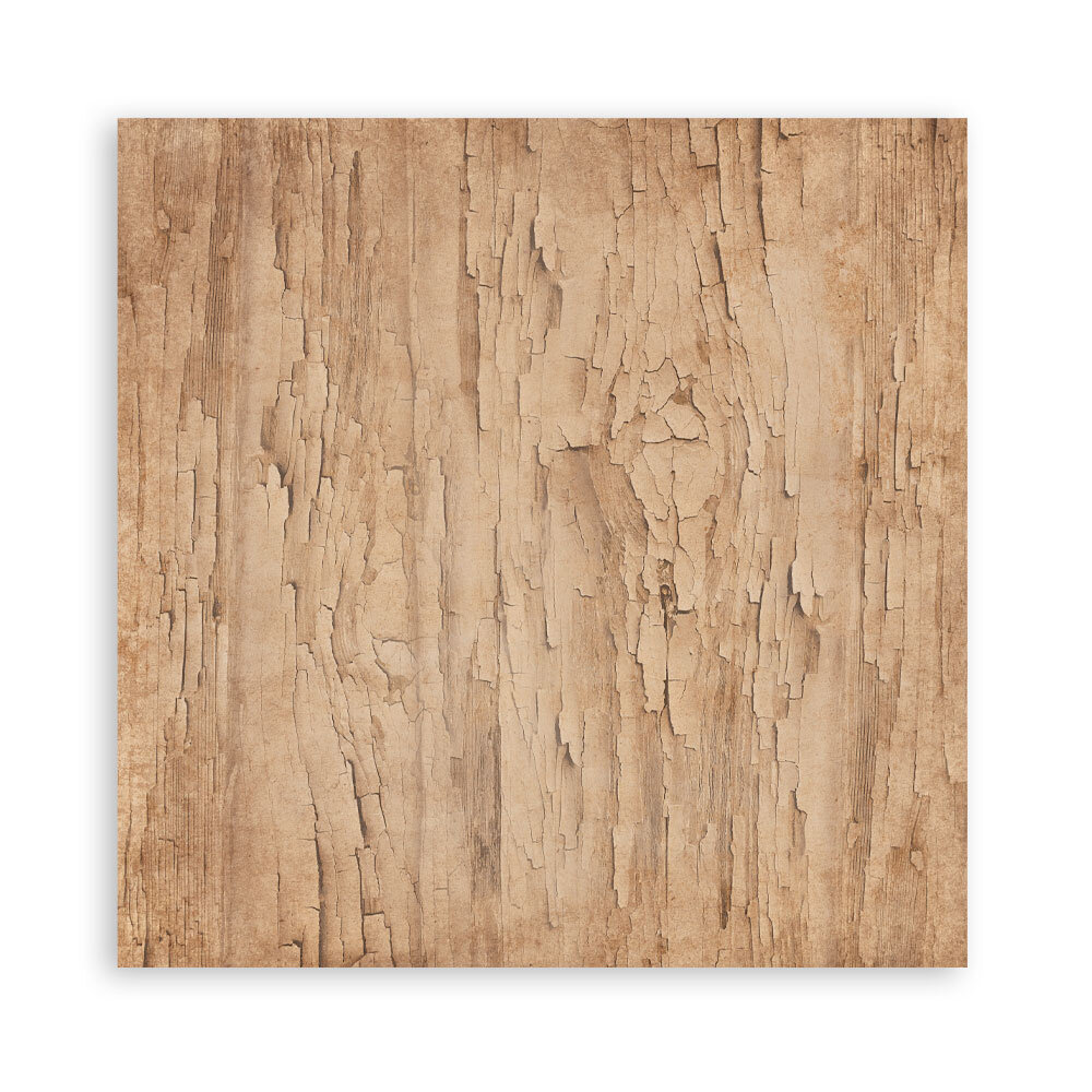 Stamperia Family 8x8 Inch Maxi Paper Pack (Single Face) (SBBSXB21)