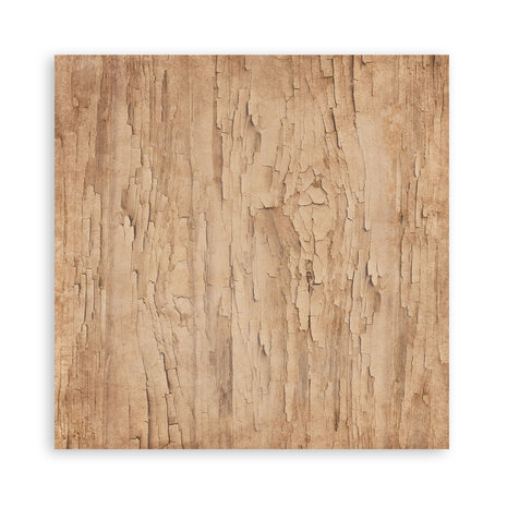 Stamperia Family 8x8 Inch Maxi Paper Pack (Single Face) (SBBSXB21)