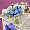 Spellbinders The Poet's Garden Etched Dies Love-in-a-Mist (S3-559)