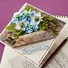Spellbinders The Poet's Garden Etched Dies Love-in-a-Mist (S3-559)
