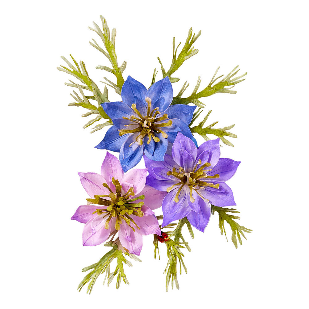 Spellbinders The Poet's Garden Etched Dies Love-in-a-Mist (S3-559)