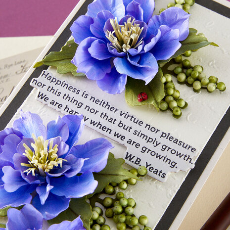 Spellbinders The Poet's Garden Etched Dies Clematis Poet (S5-712)