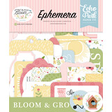 Echo Park In Full Bloom Ephemera (IFB484024)