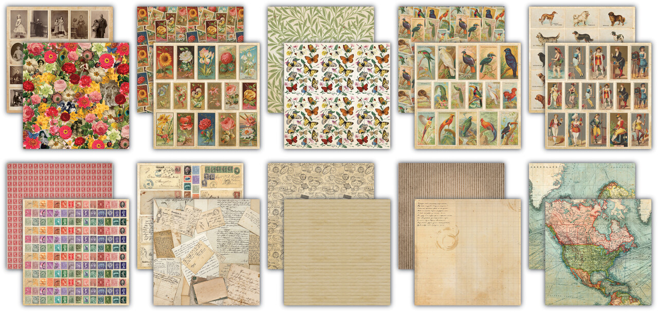 Craft Consortium The Collector 12x12 Inch Premium Paper Pad (CCEPAD038)